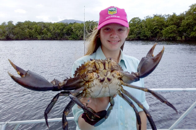 Mud crab caught on the Daintree River